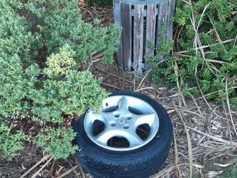Rubbish/Recycling — a report photo