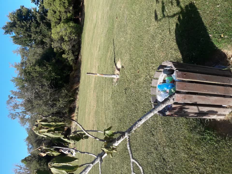 The photograph attached to this parks report