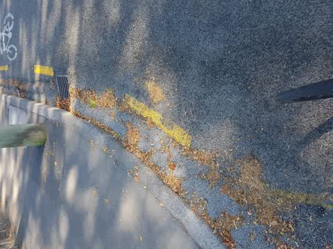 Roading/Streets, a report photo