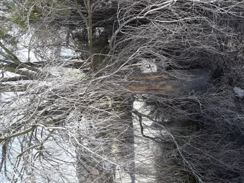 Parks, a report photo