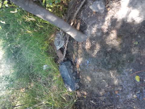 Water Supply, a report photo