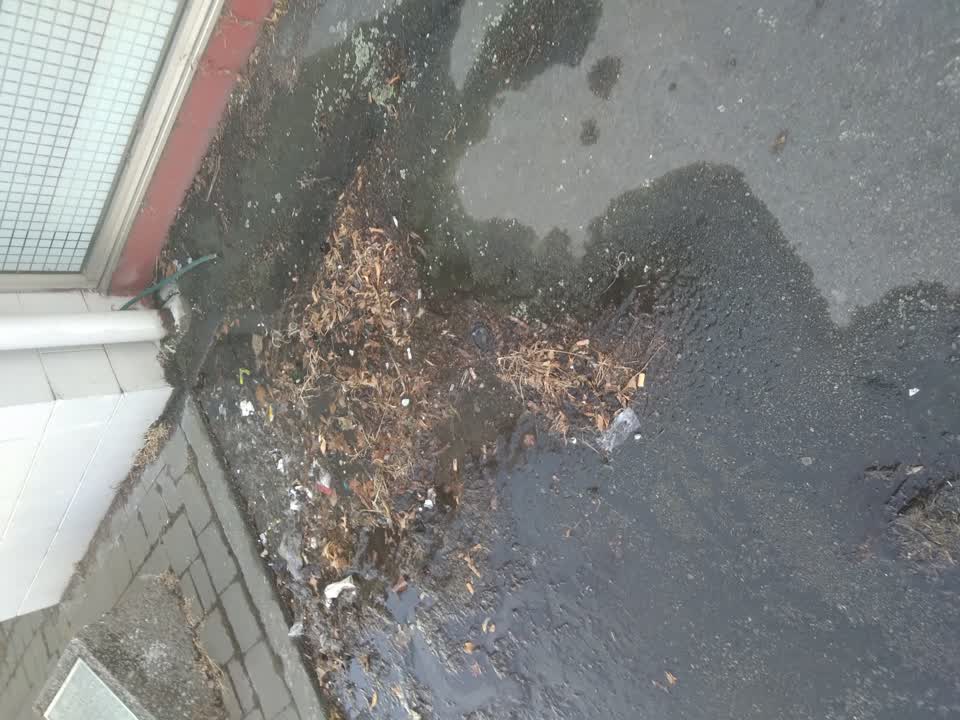The photograph attached to this water leak report