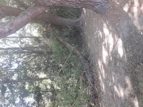 Parks, a report photo