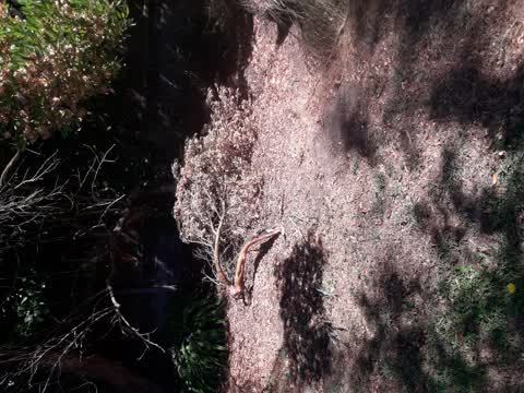 Parks, a report photo