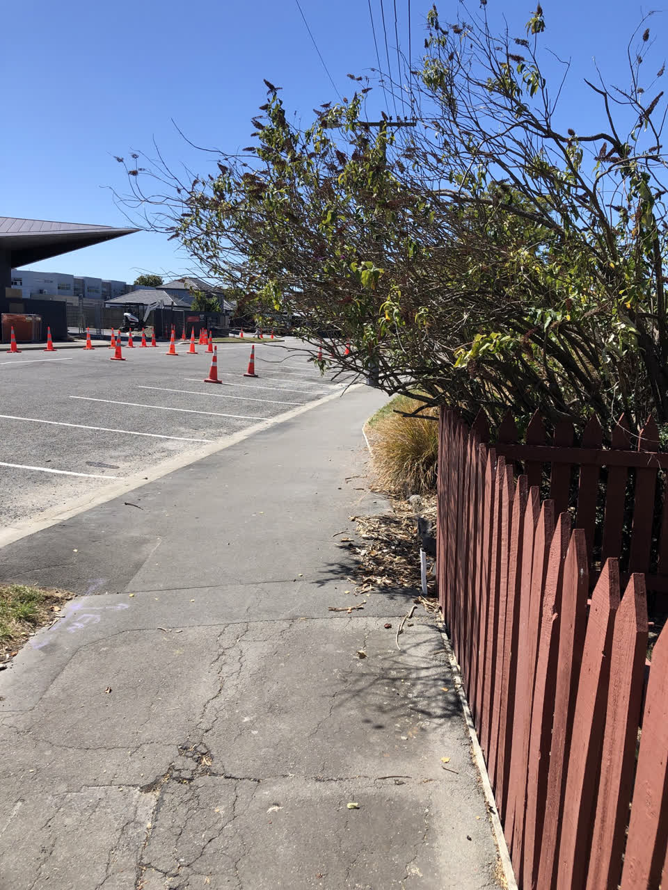 The photograph attached to this parks report