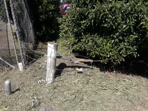 Parks, a report photo