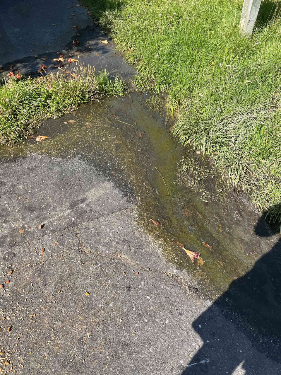 The photograph attached to this water leak report