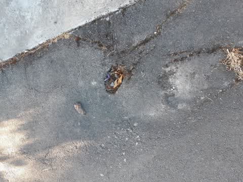 Roading/Streets, a report photo