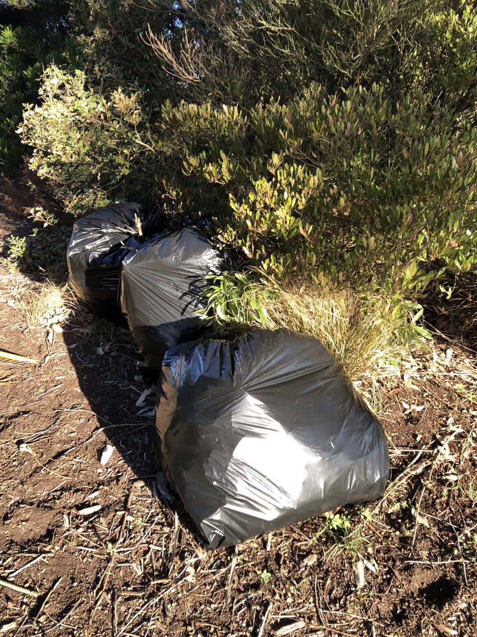 The photograph attached to this parks report