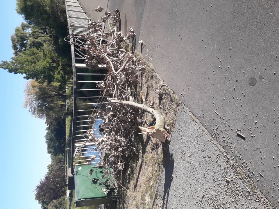 The photograph attached to this parks report