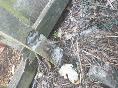 Parks, a report photo