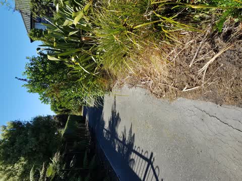 Roading/Streets, a report photo