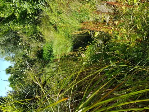Wastewater/Stormwater, a report photo
