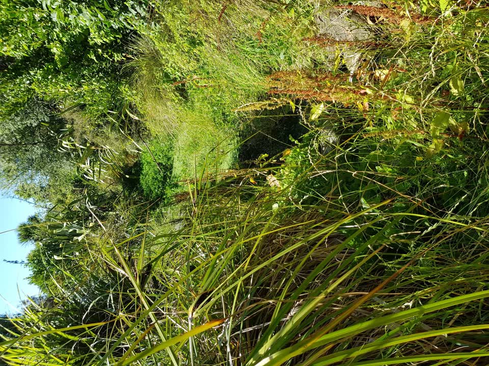 The photograph attached to this wastewater/stormwater report