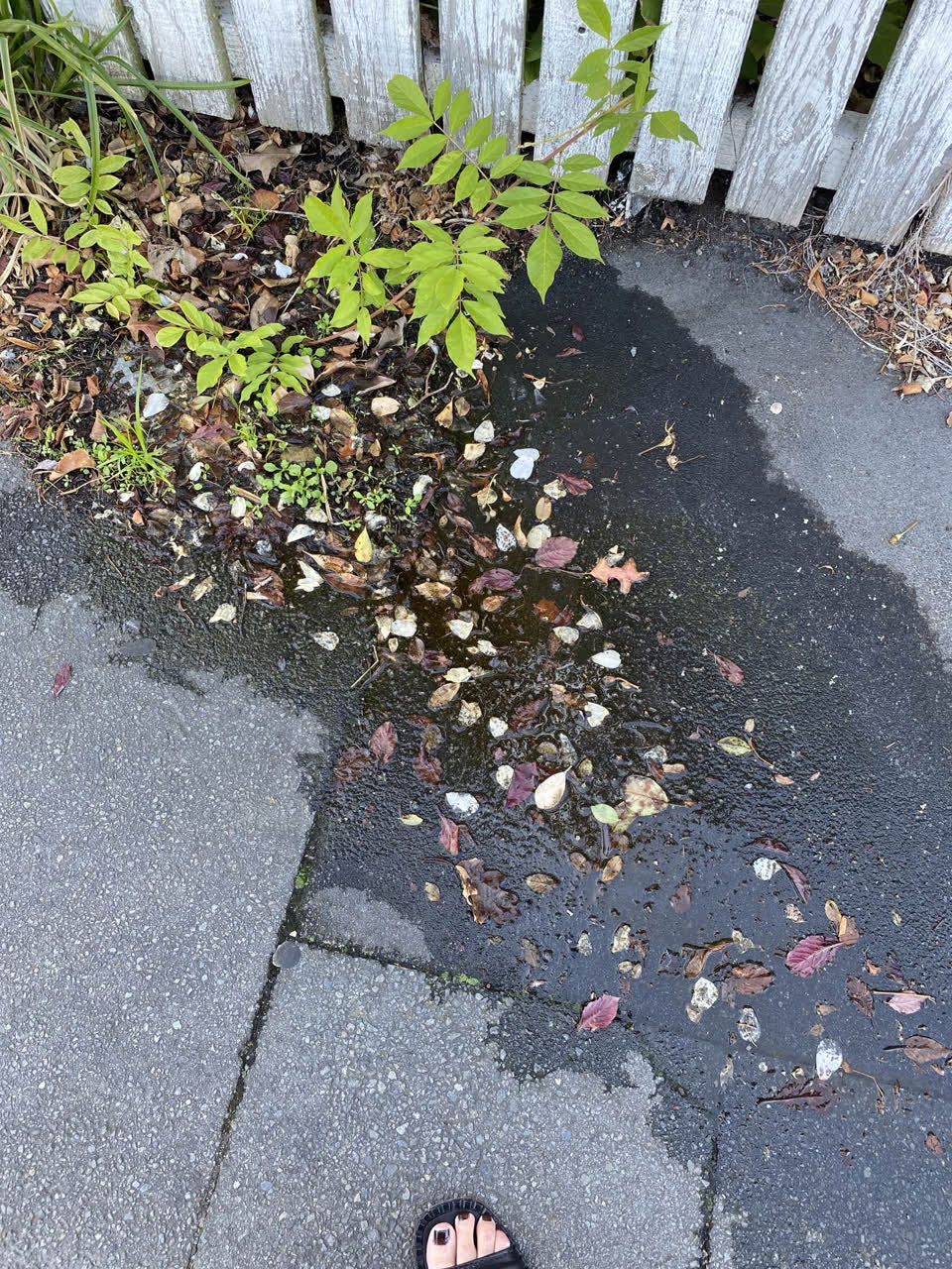 The photograph attached to this water leak report