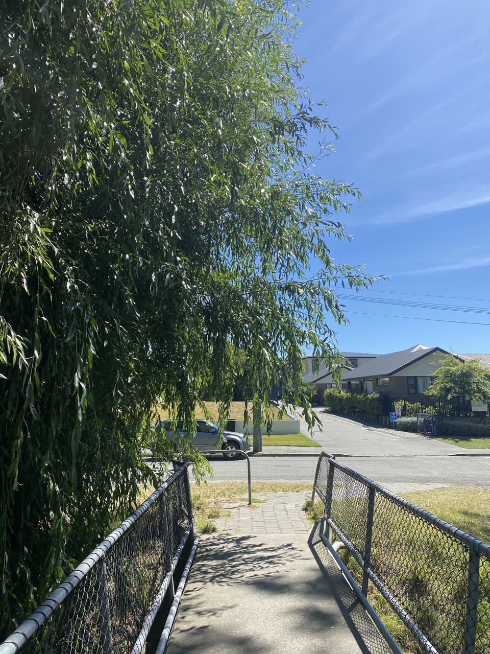 The photograph attached to this parks report