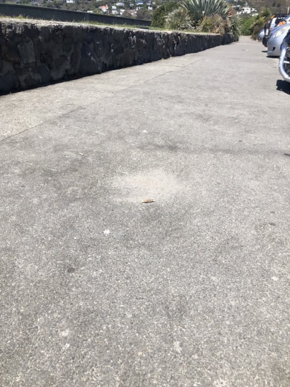 The photograph attached to this roading/streets report