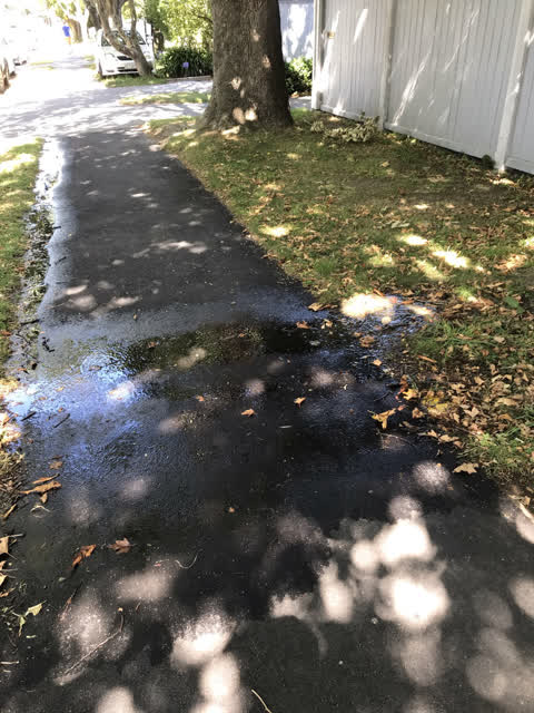 Water Supply, a report photo