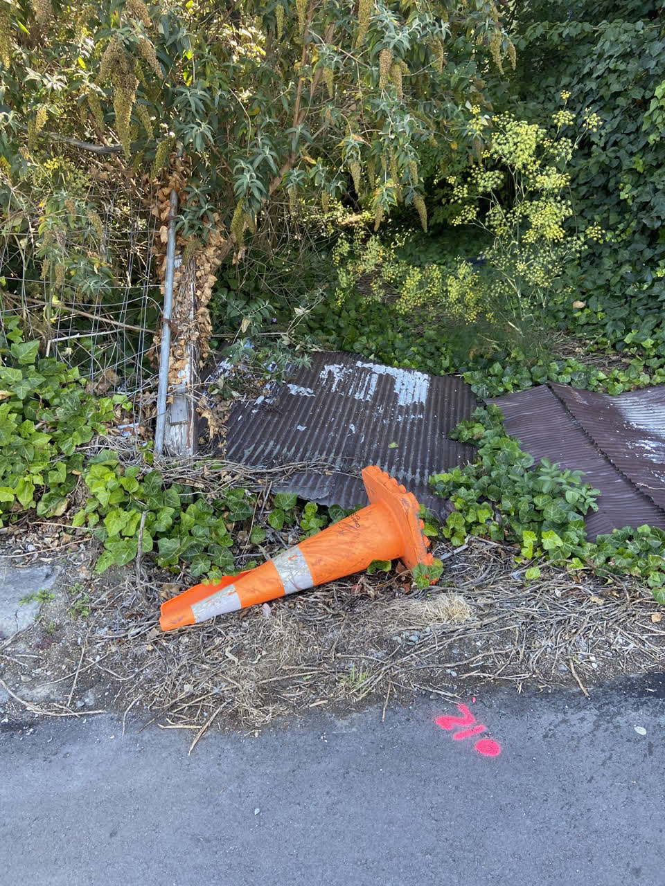The photograph attached to this roading/streets report