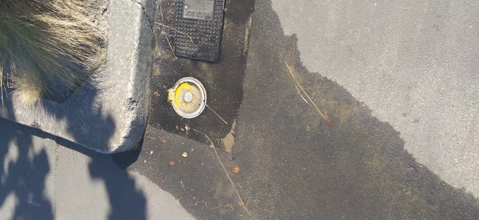 The photograph attached to this water leak report