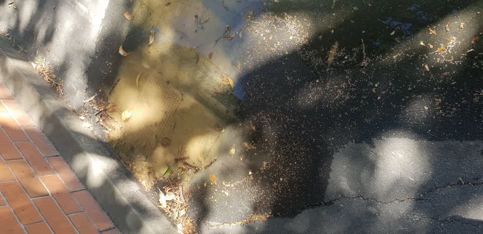 The photograph attached to this water leak report