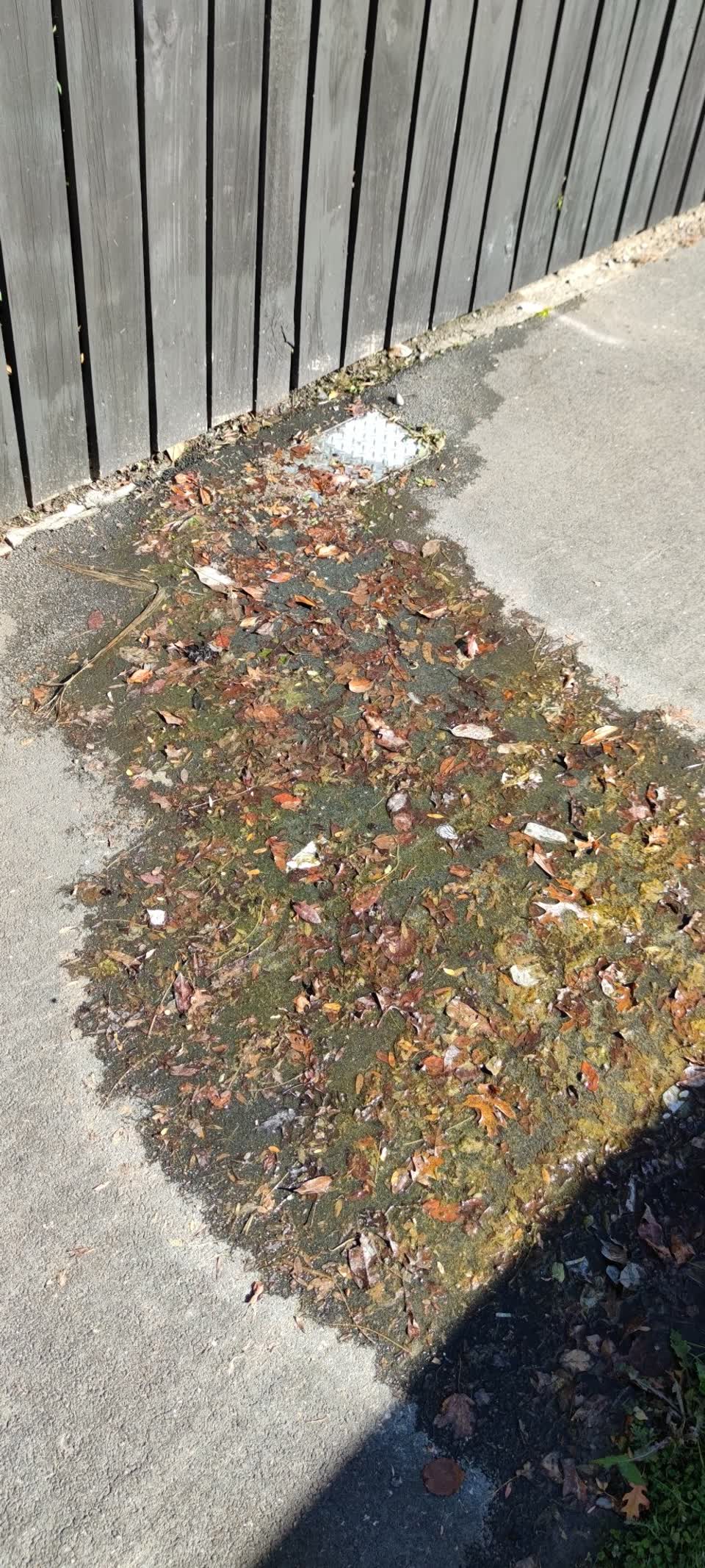 The photograph attached to this water leak report
