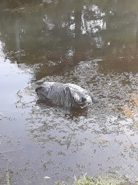 General Request, a report photo