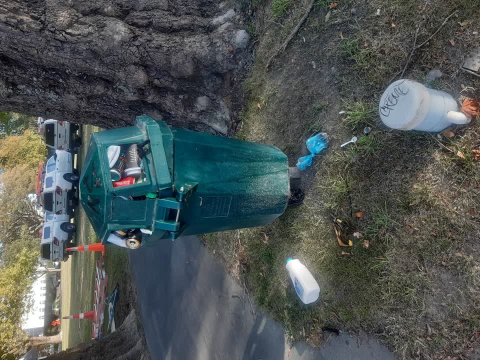 The photograph attached to this rubbish/recycling report