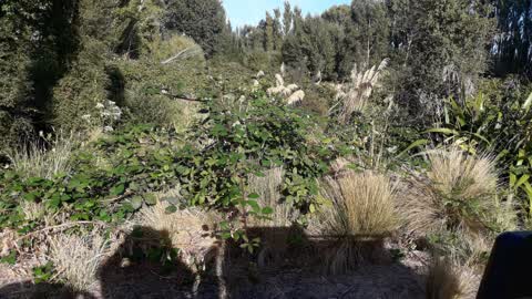 Parks, a report photo
