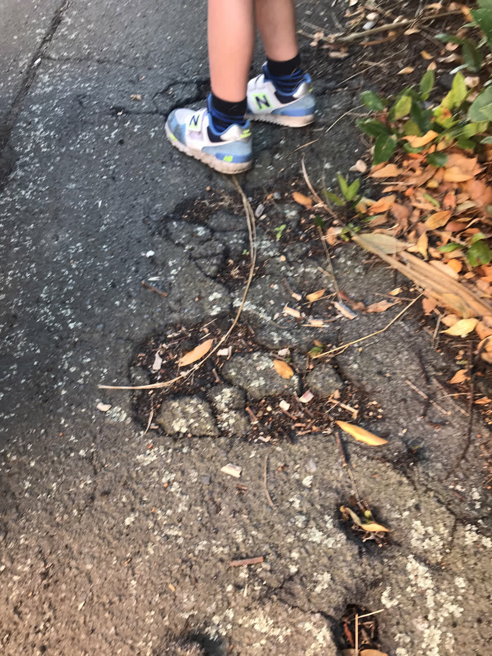The photograph attached to this roading/streets report