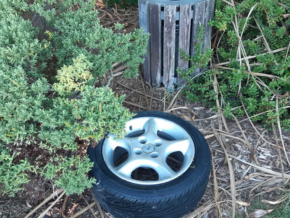 The photograph attached to this rubbish/recycling report