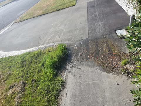 Water Leak, a report photo