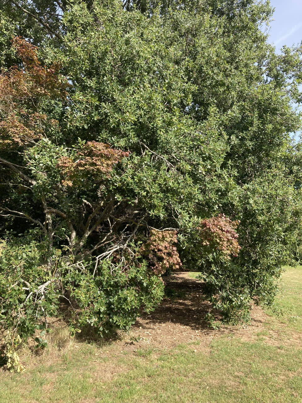 The photograph attached to this parks report