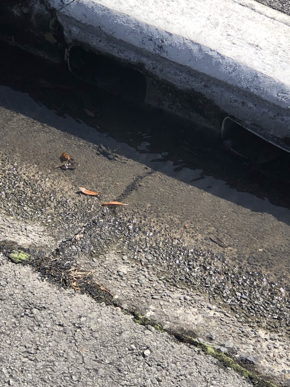 The photograph attached to this wastewater/stormwater report