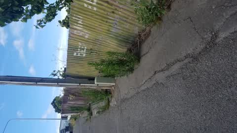 Roading/Streets, a report photo
