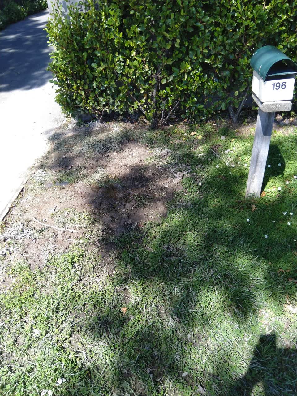 The photograph attached to this water leak report
