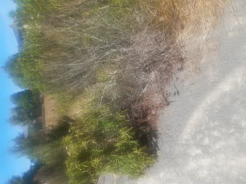 Parks, a report photo