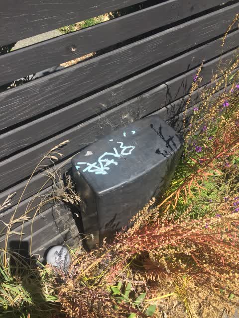 Graffiti, a report photo