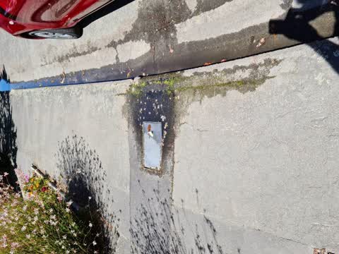 Water Leak, a report photo