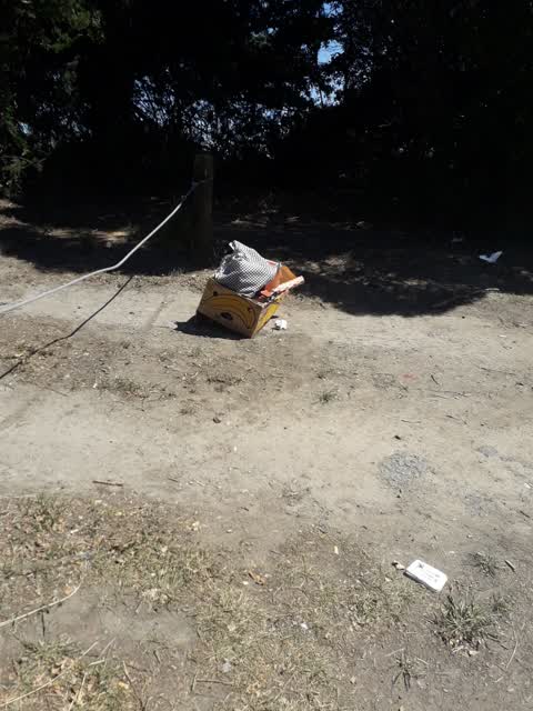 Rubbish/Recycling — a report photo