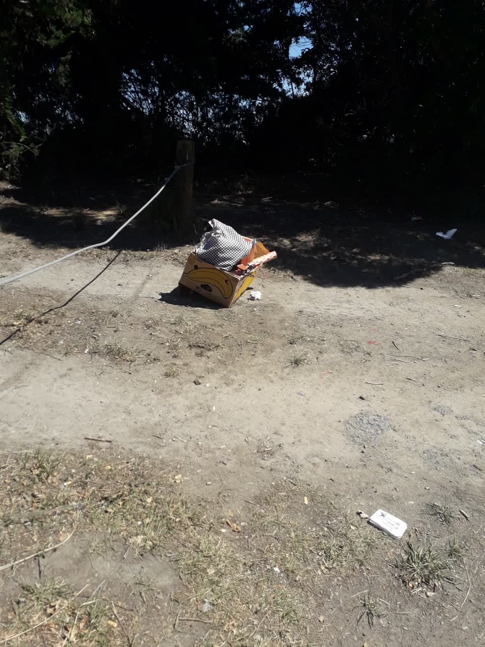 The photograph attached to this rubbish/recycling report