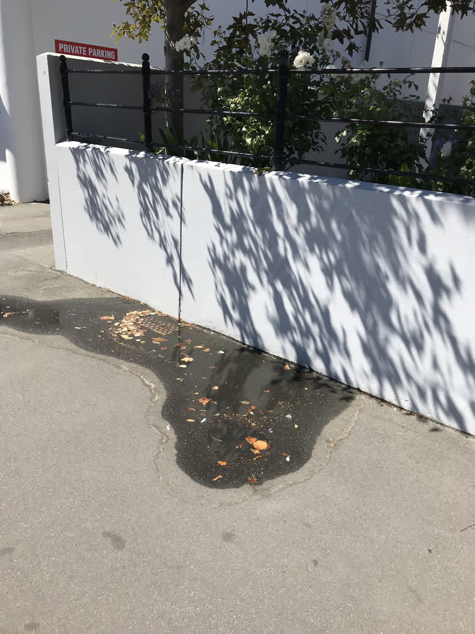 The photograph attached to this water leak report