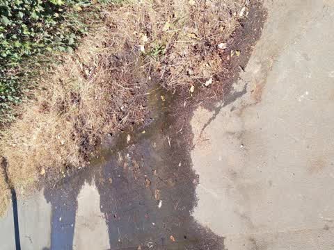 Water Leak, a report photo