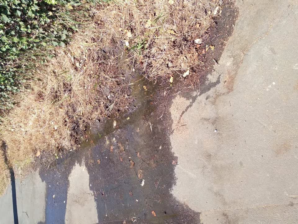 The photograph attached to this water leak report