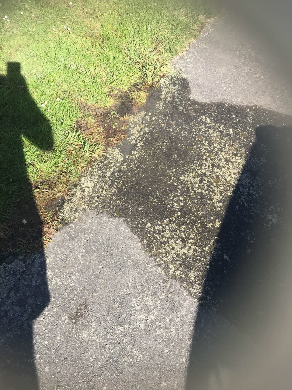 The photograph attached to this water leak report