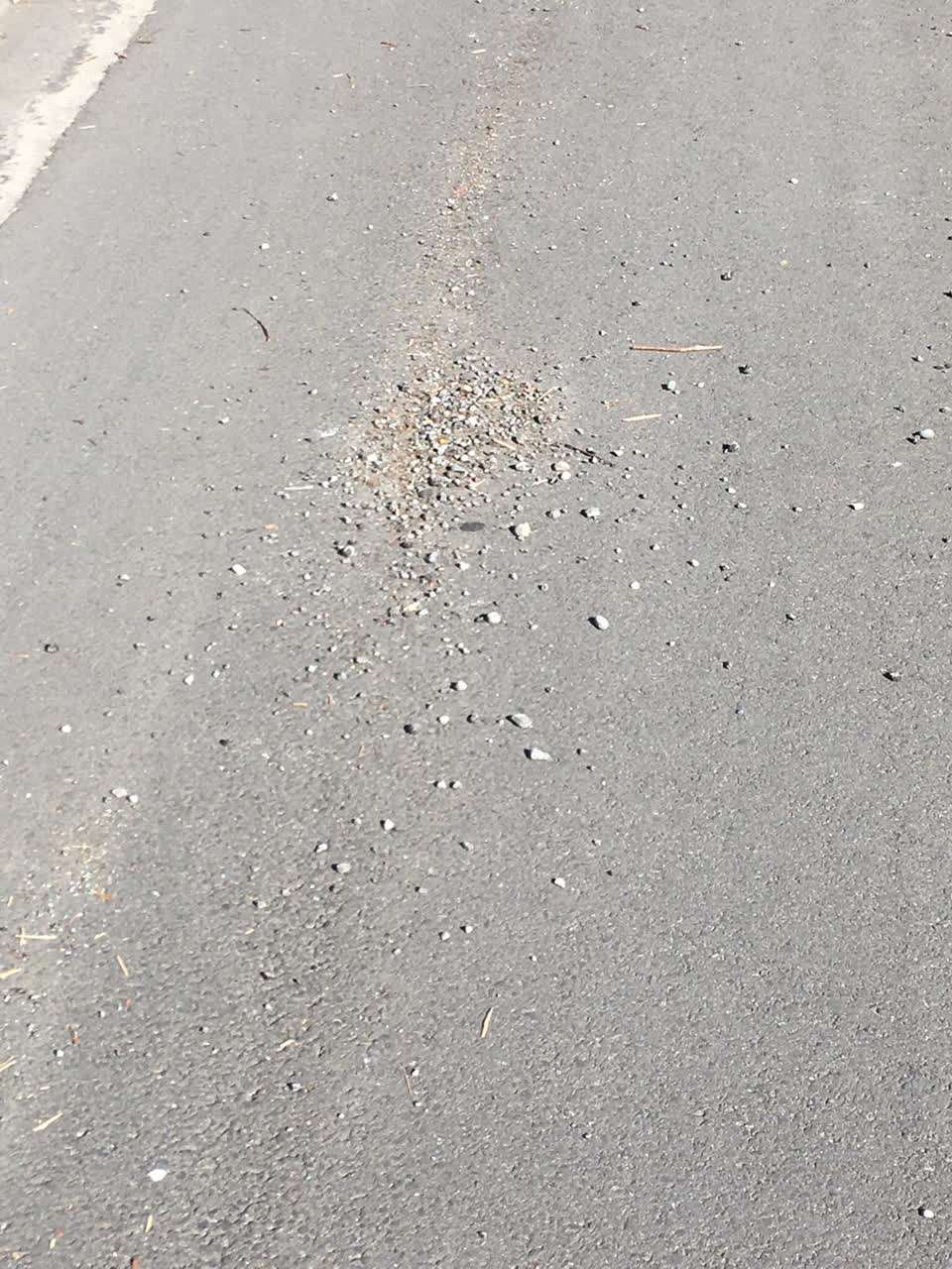 The photograph attached to this roading/streets report