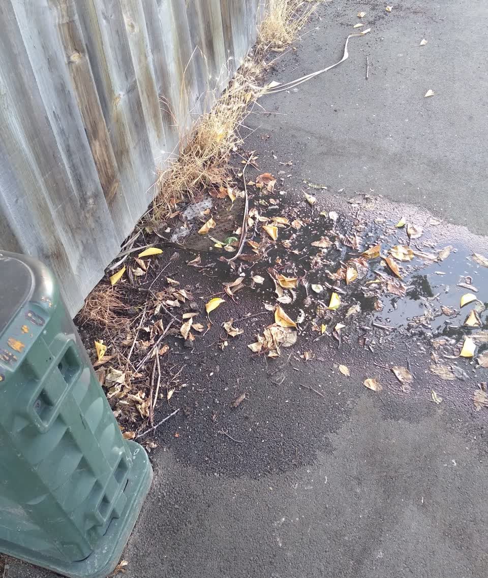 The photograph attached to this water leak report