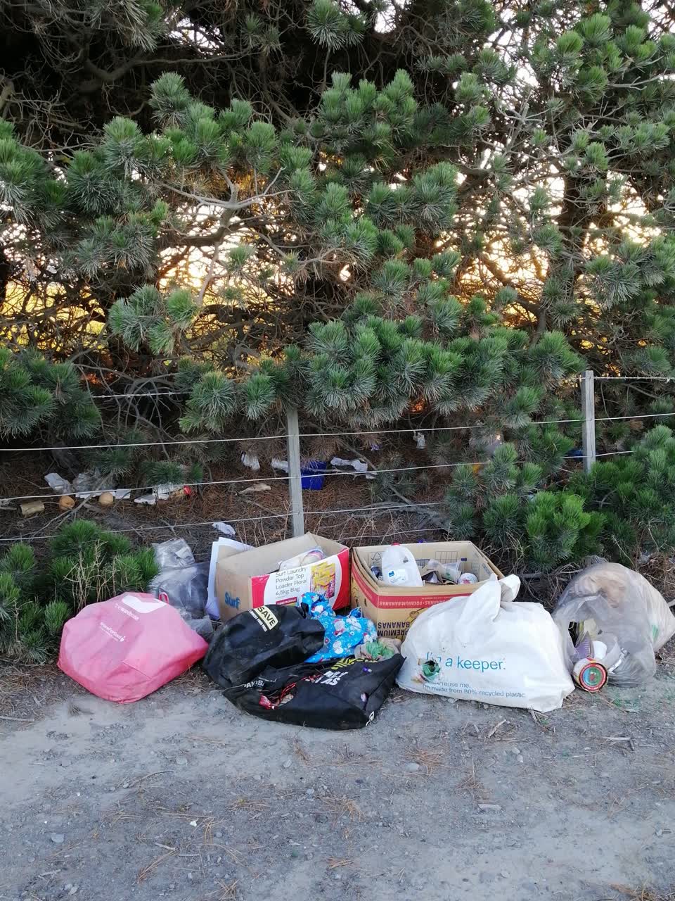 The photograph attached to this rubbish/recycling report