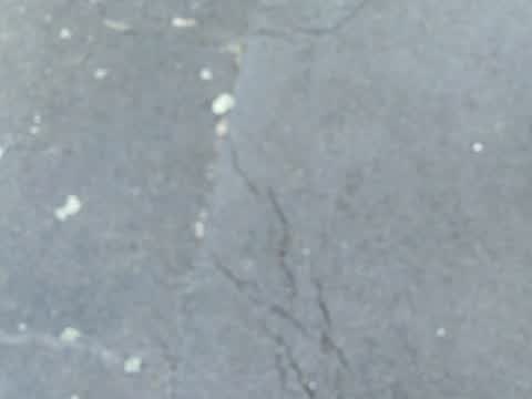 Roading/Streets, a report photo