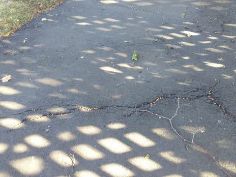 Roading/Streets, a report photo
